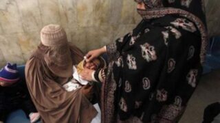 Polio, Volunteers