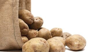 Potato