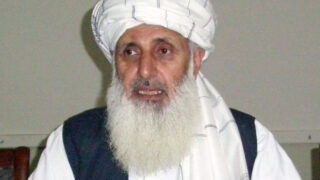 Professor Ibrahim