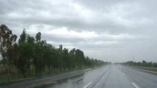 Rain
