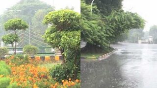 Rain