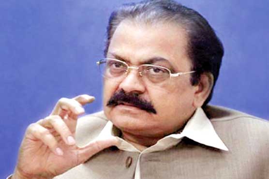 تجزیہ کار دکان چمکانے کیلئے آرمی چیف کے بیان کو غلط رنگ دے رہے ہیں، رانا ثنا اللہ