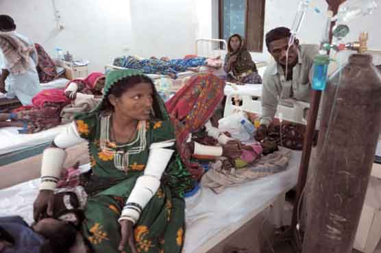 صحرائے تھر اور حکومت سندھ