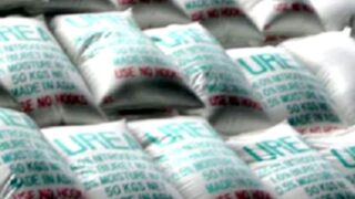 Urea