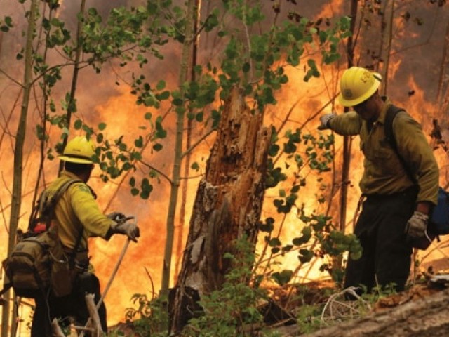 امریکی ریاست  کیلی فورنیا  کے جنگلات  میں  آگ  لگنے  سے  ہزاروں افراد  کی  نقل  مکانی