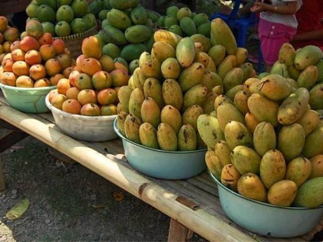 آم پر پابندی، بھارت کا یورپی یونین کو ڈبلیو ٹی او میں گھسیٹنے کا انتباہ