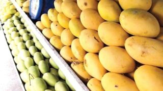 Mango