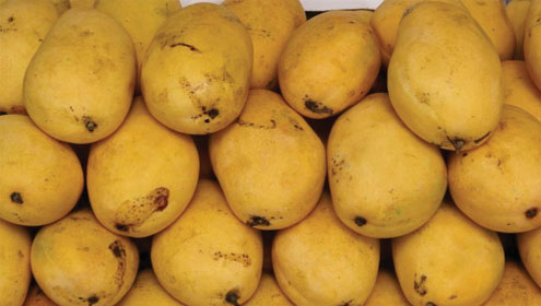 پنگریو: آم کی مارکیٹ آمد، قیمتیں آسمان سے باتیں کرنے لگیں