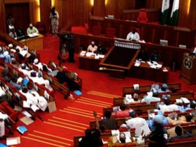 نائجیرین سینیٹ کا حساس ریاستوں میں ایمرجنسی کی مدت میں 6 ماہ توسیع کی منظوری