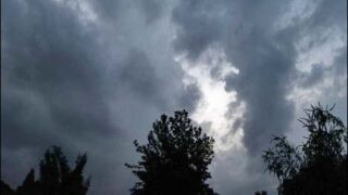 Rain