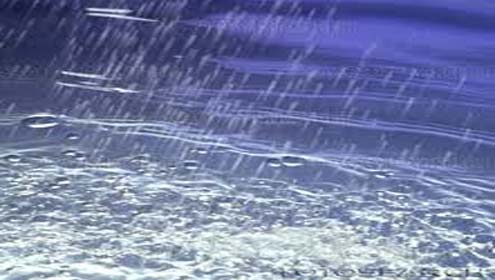 طوفانی بارش سے 50 ہزار ایکڑ گندم  متاثر 6 کروڑ کے نقصان کا خدشہ