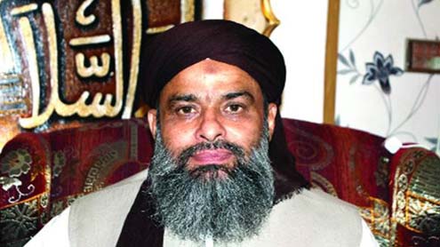 آزاد الیکشن کمیشن جمہوریت کی ضمانت ہے، ثروت قادری