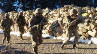 Search Operation