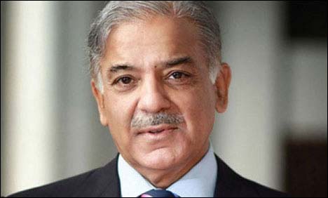 ملک سے اندھیرے دور کر کے روشنیاں لائیں گے،  شہباز شریف