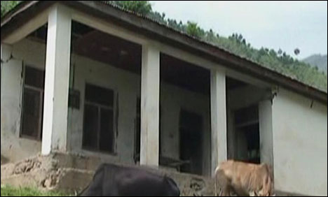 شانگلہ کے 17 اسکولوں میں طلباء کے بجائے جانوروں کے ڈیرے