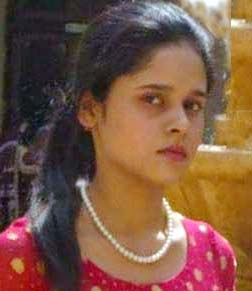 میرٹ کا جھنڈا