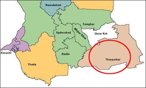 صحرائے تھر میں رانی کھیت کی بیماری نے مزید دس موروں کی جان لے لی