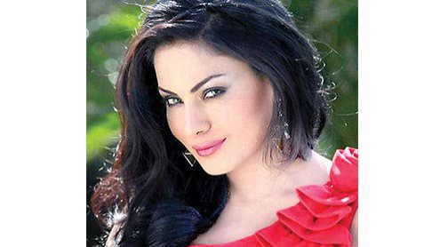 وینا ملک پروڈیوسروں، ہدایتکاروں سے میٹنگز میں مصروف