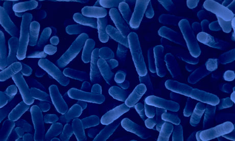 بیماریوں سے نجات کا اسلامی طریقہ