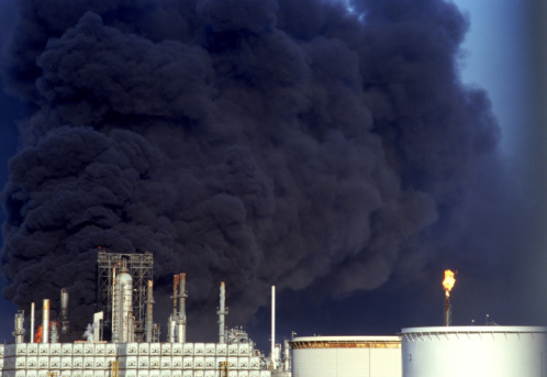 Environmental Pollution