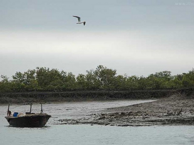 بحیرہ عرب  میں سمندری  طوفان کم  دباؤ میں تبدیل،  ساحلی علاقوں میں تباہ  کاریاں  جاری