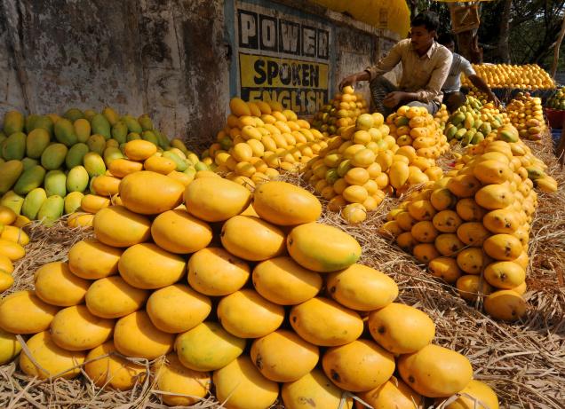 یورپی یونین کو برآمد کیلیے آم کی ٹریس ایبلٹی کا نظام متعارف