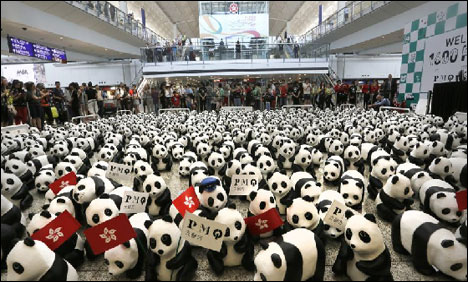 ہانگ کانگ کے ایئر پورٹ پر پانڈوں کا ڈیرا