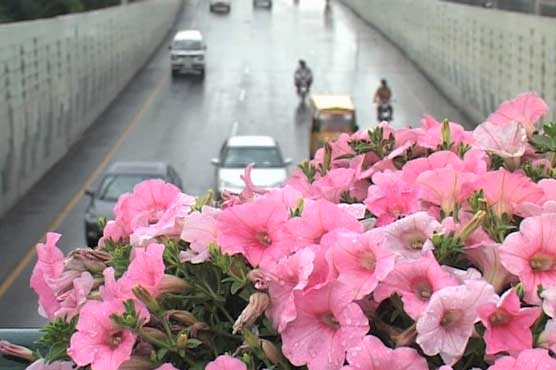 محکمہ موسمیات کی آئندہ ہفتے سے ملک میں پری مون سون بارشوں کی پیشگوئی