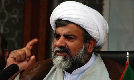 طاہرالقادری کی جدوجہد کی حمایت کرتے ہیں، علامہ ناصر عباس