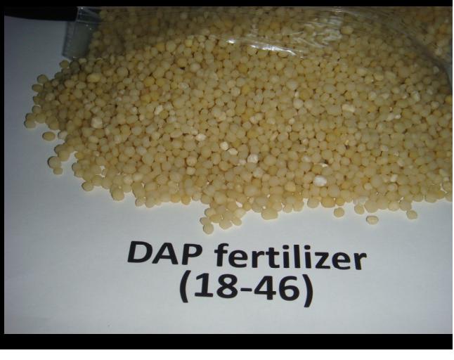 DAP Fertilizer