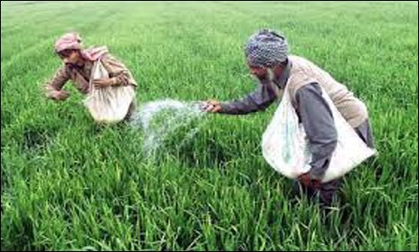 ڈی اے پی کھاد پر کسانوں کو سبسڈی دینے کا معاملہ تاخیرکا شکار