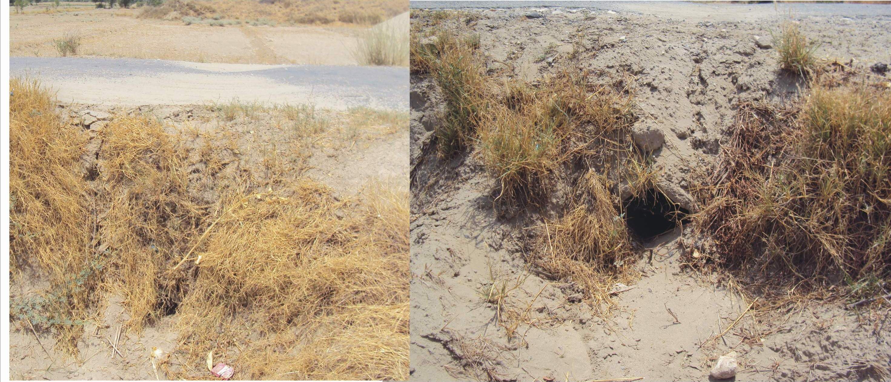 فتح پور کی خبریں 13/7/2014