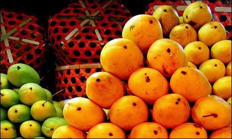 آم کی برآمدات میں 85 فیصد کمی