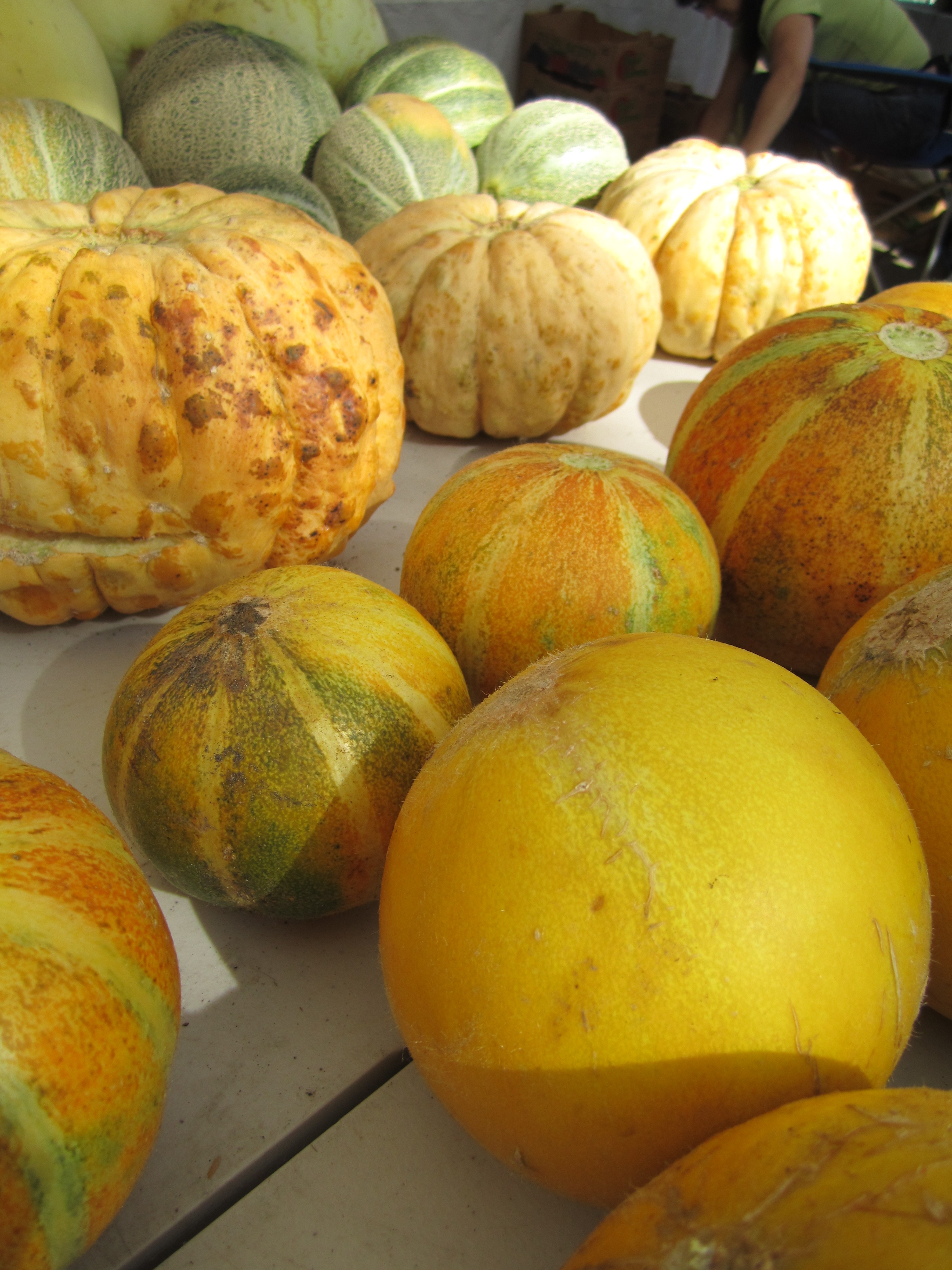 Melons