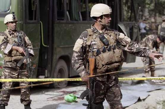 Nato Soldiers