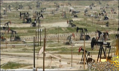Oil