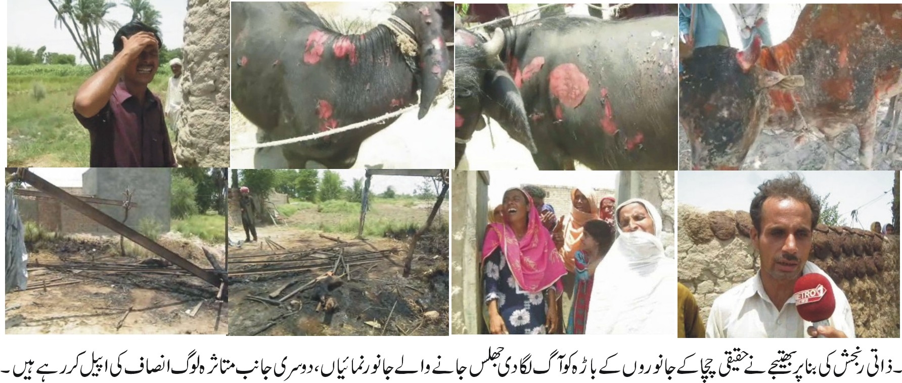 کوٹ مٹھن کی خبریں 15/7/2014