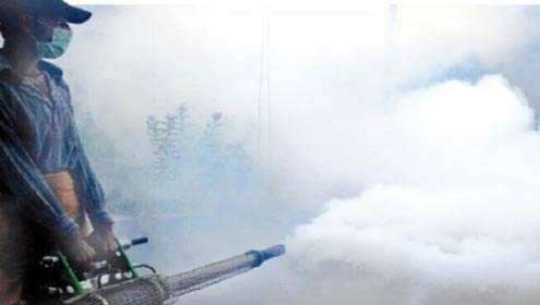 سستے بازاروں میں روزانہ اینٹی ڈینگی سپرے کرنے کا حکم