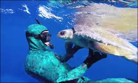 کچھوے میاں کا آزادی دلانے والے سرفرسے انوکھا اظہار تشکر