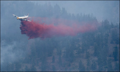 واشنگٹن کے جنگلات میں لگی آگ نے سو گھر جلا دیے