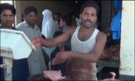 جام پور: مردہ مرغیوں کا گوشت فروخت کرنے والا دکاندار گرفتار