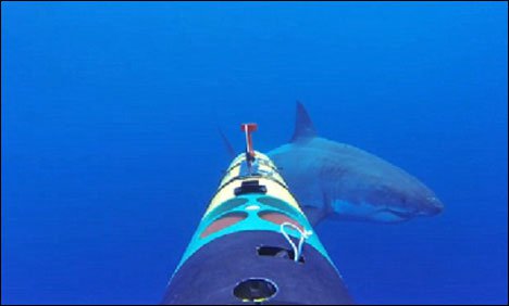 میکسیکو میں زیر سمندر روبو ٹک کیمرے کو شارک نے چبا ڈالا