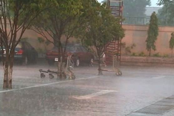 Rain