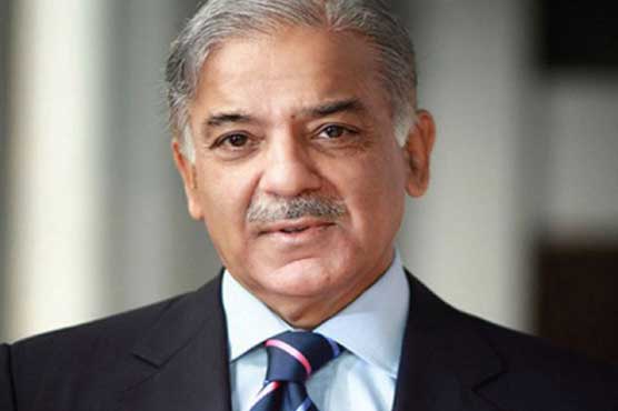 تحریک انصاف نے جھوٹ کے تمام ریکارڈ توڑ دیئے، سازش ناکام بنائیں گے، شہباز شریف