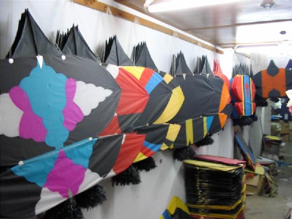 کوٹ لکھپت:10 پتنگ باز گرفتار، پتنگیں، دھاتی ڈور برآمد