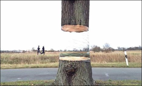 یہ جادو نہیں جناب بلکہ ایک آرٹسٹ کے فن کا کمال ہے