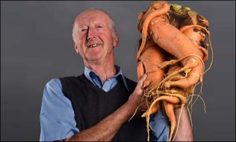 برطانیہ میں دنیا کی سب سے وزنی گاجر