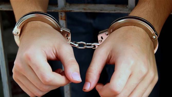 جرائم پیشہ عناصر اور تعلیمی نظام