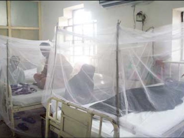 Dengue