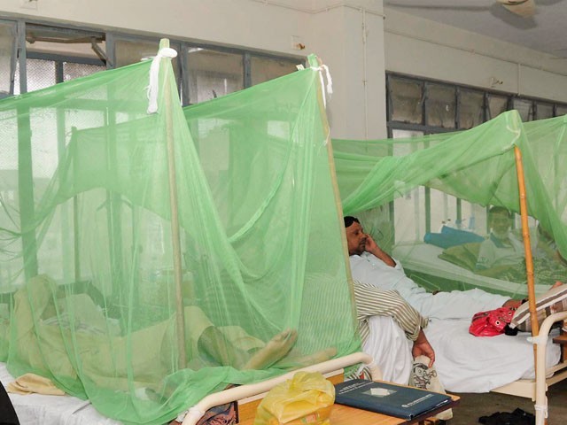 پنجاب میں 24 گھنٹوں کے دوران ڈینگی کے مزید 9 کیس سامنے آگئے